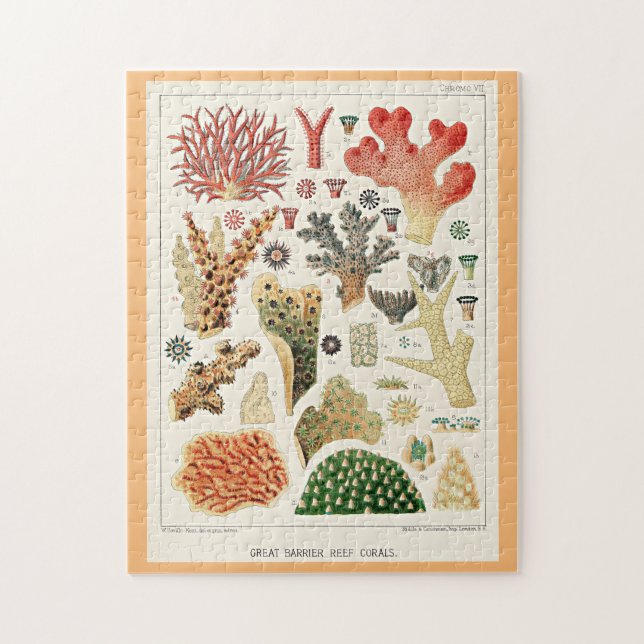 Puzzle Gran barrera de coral de arrecife (Vertical)