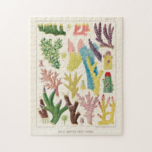 Puzzle Gran barrera de coral de Australia