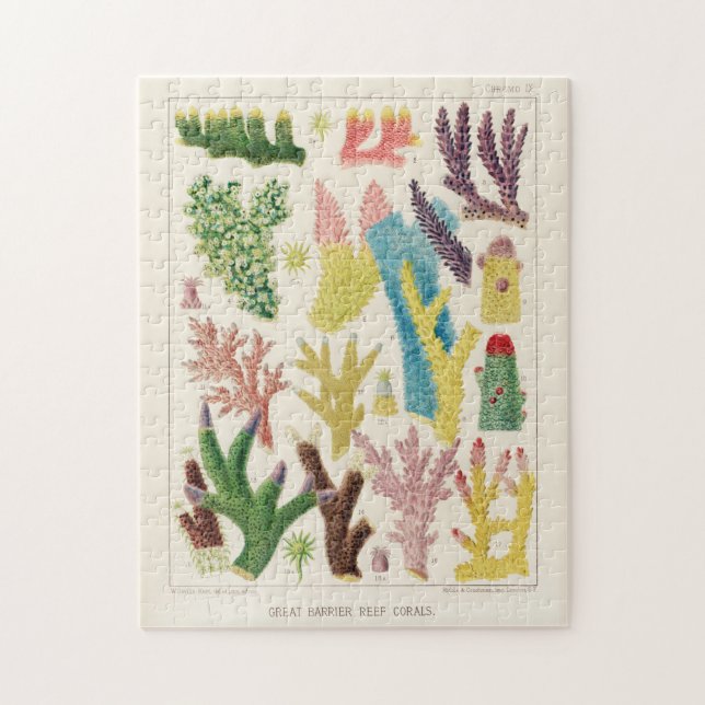 Puzzle Gran barrera de coral de Australia (Vertical)