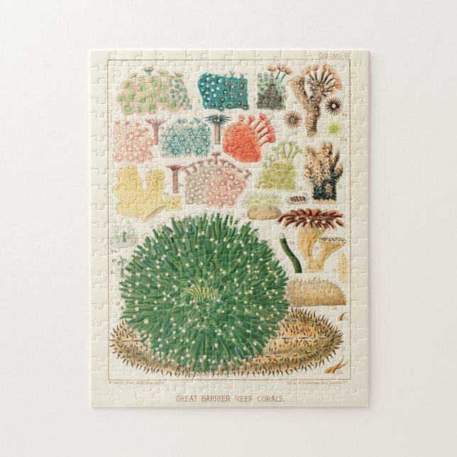Puzzle Gran barrera de coral de Australia (Vertical)