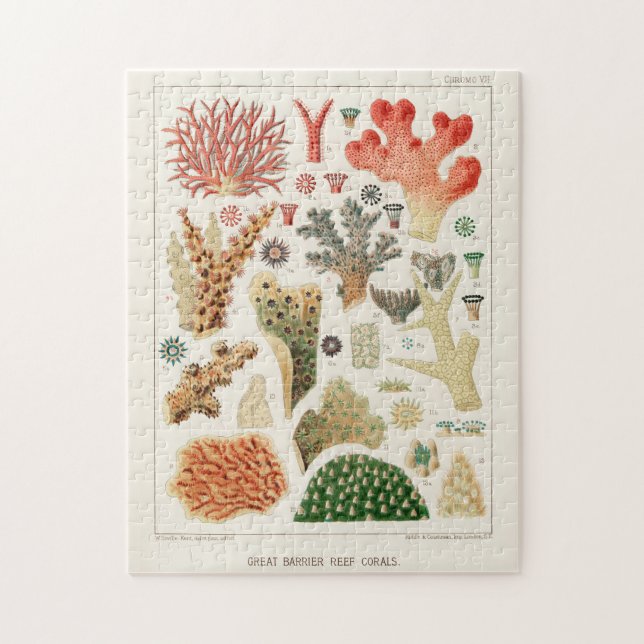 Puzzle Gran barrera de coral de Australia (Vertical)