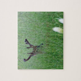 Puzzle Gran Ciervo en Hierba Alta