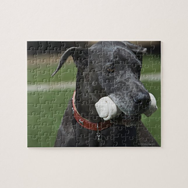 Puzzle Gran danés con hueso (Horizontal)
