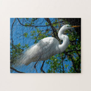 Puzzle Gran Egret Blanco Florida.