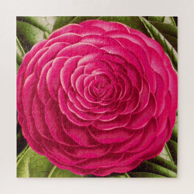 Puzzle Gran Florencia Camellia, rosa Fuchsia (Vertical)