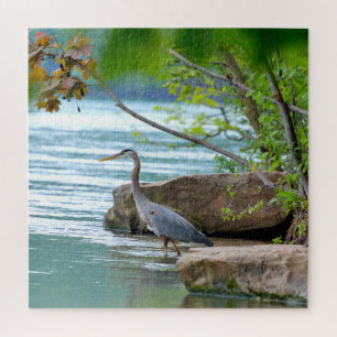Puzzle Gran garza azul