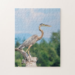 Puzzle Gran garza azul