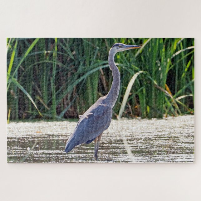 Puzzle Gran garza azul (Horizontal)