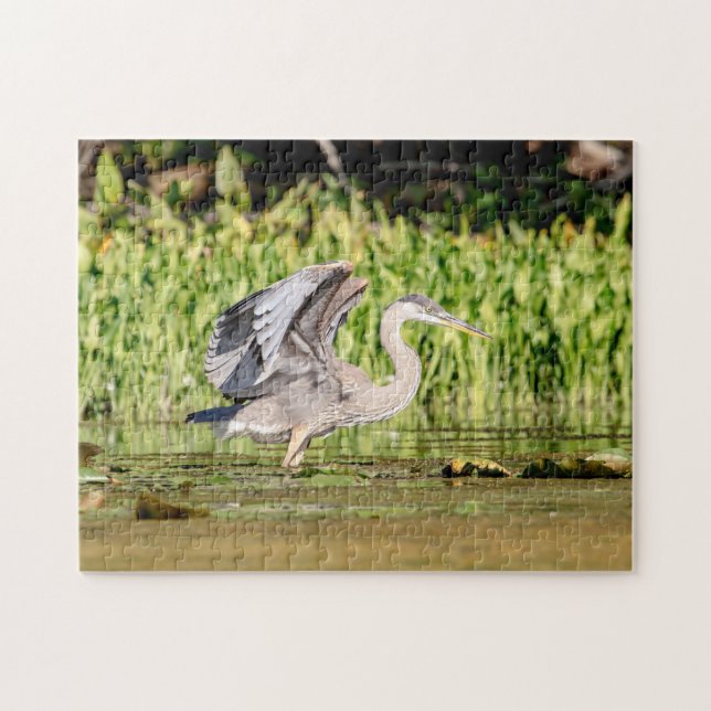 Puzzle Gran garza azul (Horizontal)