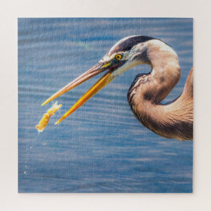 Puzzle Gran Garza Azul Atrapando Presas Arte Impreso