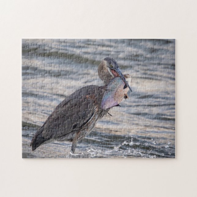 Puzzle Gran garza azul con un pez enorme (Horizontal)