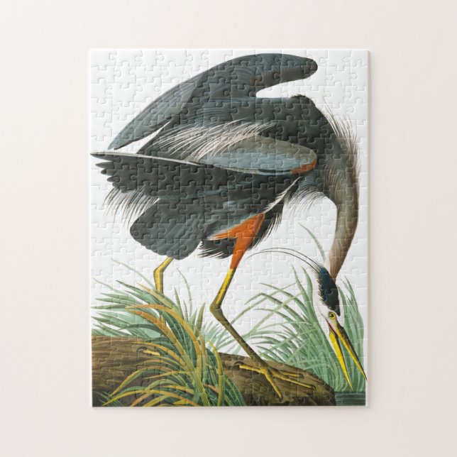 Puzzle Gran garza azul de John James Audubon (Vertical)