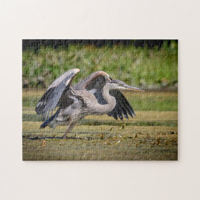 Puzzle Gran garza azul en vuelo (Horizontal)