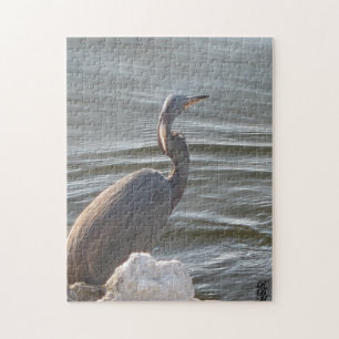 Puzzle Gran Garza Azul junto al agua