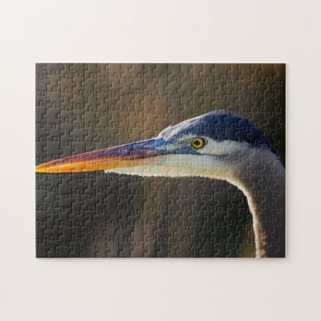 Puzzle Gran garza azul, retrato de cerca (Horizontal)