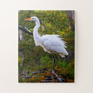 Puzzle Gran Garza Blanca Florida