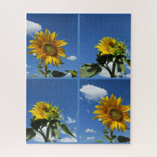 Puzzle gran girasol brilla amarillo cielo azul blanco peq (Vertical)
