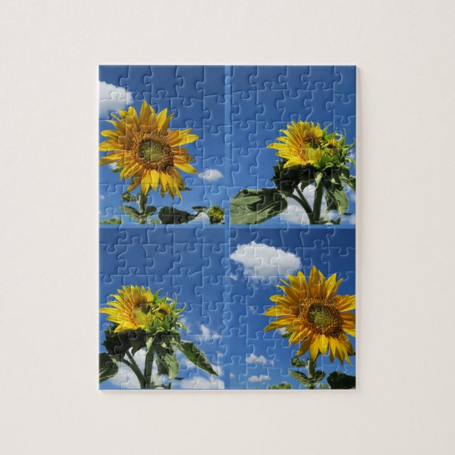 Puzzle gran girasol brilla amarillo cielo azul blanco poc (Vertical)