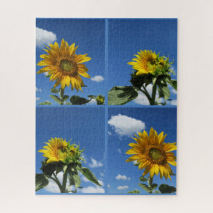 Puzzle gran girasol brilla amarillo cielo azul blanco poc