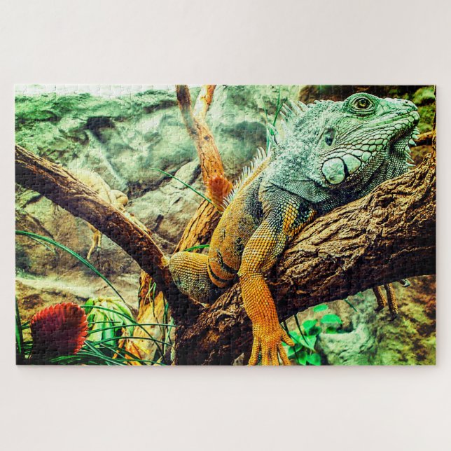 Puzzle Gran Iguana (Horizontal)