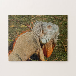 Puzzle Gran lagartija verde de iguana para adultos en la 