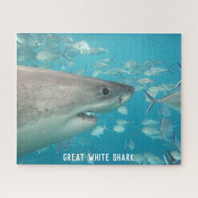 Puzzle Gran mar de tiburón blanco bajo el agua, 520 pieza (Horizontal)