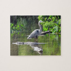 Puzzle Gran pereza de garza azul y lagarto