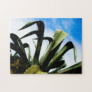 Puzzle Gran planta de alote con cielo azul