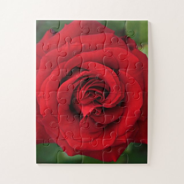 Puzzle Gran rosa rojo (Vertical)