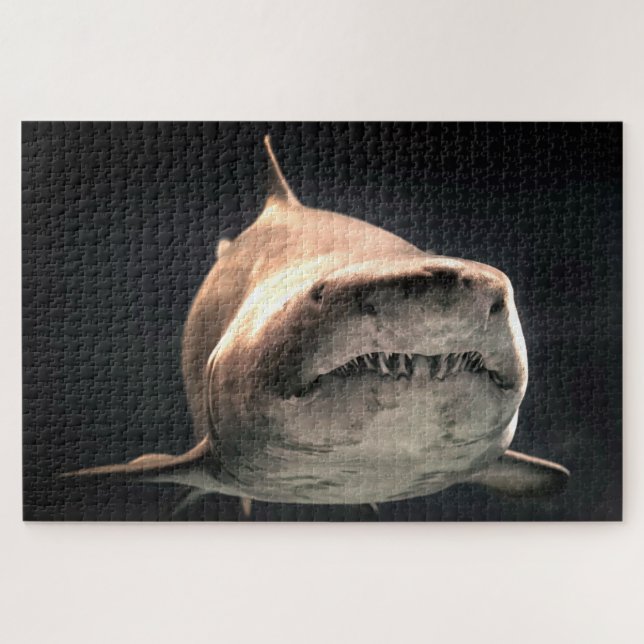 Puzzle Gran tiburón blanco (Horizontal)