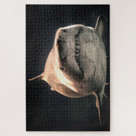 Puzzle Gran tiburón blanco