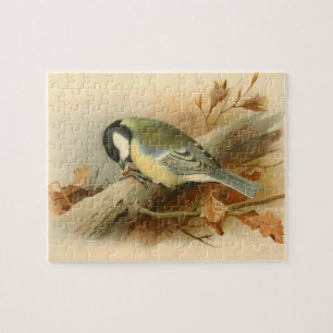 Puzzle Gran Tit de Lord Lilford, Ilustracion de Aves