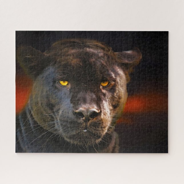 Puzzle Grandes Gatos De Pantera Negra. (Horizontal)
