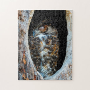 Puzzle Grandioso Búho Dormido En Un Árbol Hollow