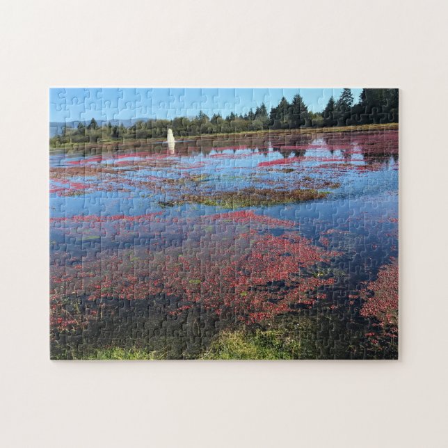 Puzzle Granja de Cranberry, Long Beach, Washington (Horizontal)