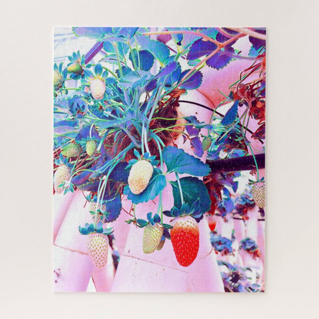 Puzzle Granja de fresa Port Macquarie Australia (Vertical)