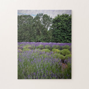 Puzzle Granja de lavanda