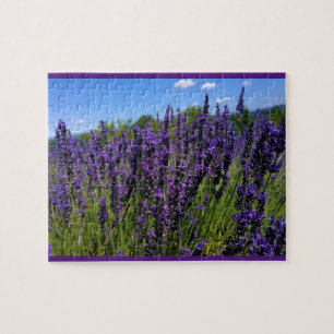 Puzzle Granja de lavanda