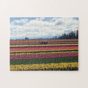 Puzzle Granja de Tulipanes Wooden Shoe, Woodburn, Oregón