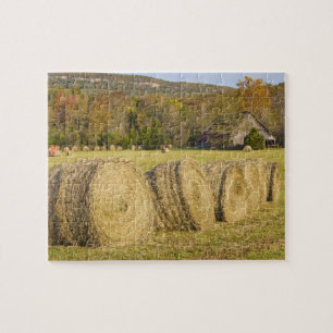 Puzzle Granja histórica en el río nacional Buffalo,