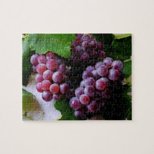 Puzzle Grapevine Fruit Photography
