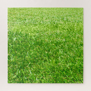 Puzzle Grasa