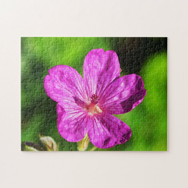 Puzzle Grasa verde brillante con flores silvestres rosada (Horizontal)