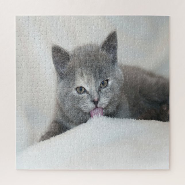 Puzzle Gray Kitten Liceo Nieve (Vertical)