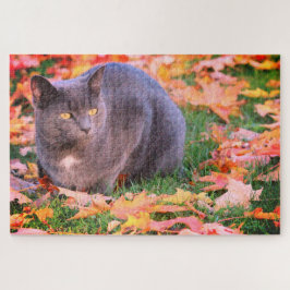 Puzzle Gray Kitty Cat