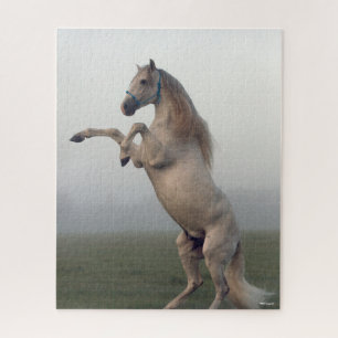 Puzzle Gray Lusitano Stallion Rearing In Mist