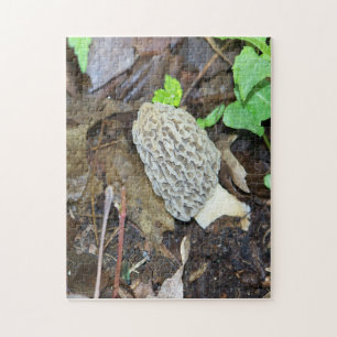Puzzle Gray Morel Mushroom