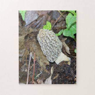 Puzzle Gray Morel Mushroom
