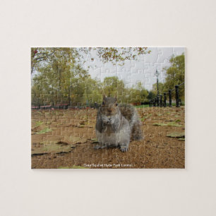 Puzzle Gray Squirel Hyde Park Londres