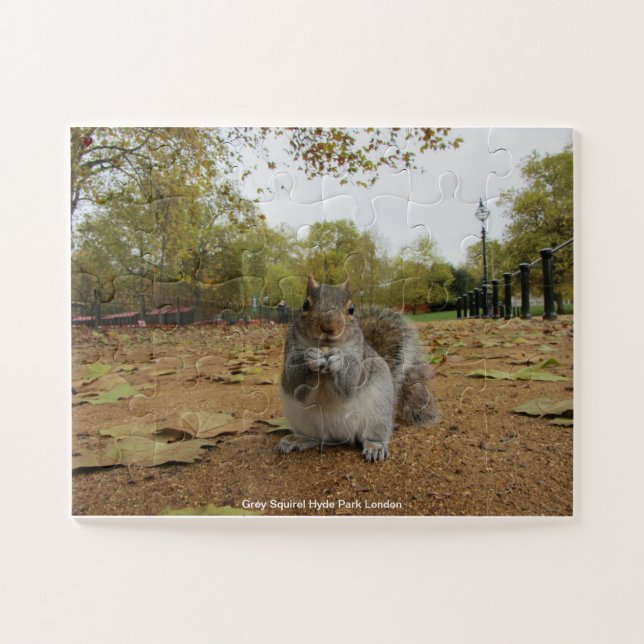 Puzzle Gray Squirel Hyde Park Londres (Horizontal)